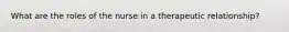 What are the roles of the nurse in a therapeutic relationship?