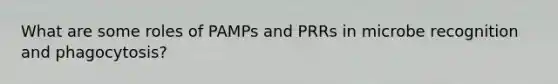 What are some roles of PAMPs and PRRs in microbe recognition and phagocytosis?