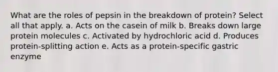 What are the roles of pepsin in the breakdown of protein? Select all that apply. a. Acts on the casein of milk b. Breaks down large protein molecules c. Activated by hydrochloric acid d. Produces protein-splitting action e. Acts as a protein-specific gastric enzyme