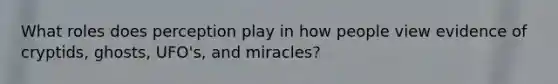 What roles does perception play in how people view evidence of cryptids, ghosts, UFO's, and miracles?