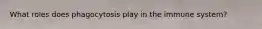 What roles does phagocytosis play in the immune system?
