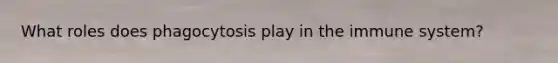 What roles does phagocytosis play in the immune system?