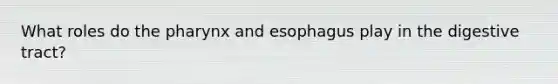 What roles do the pharynx and esophagus play in the digestive tract?