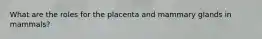 What are the roles for the placenta and mammary glands in mammals?