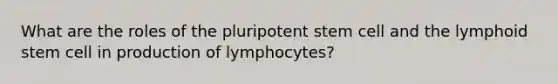 What are the roles of the pluripotent stem cell and the lymphoid stem cell in production of lymphocytes?