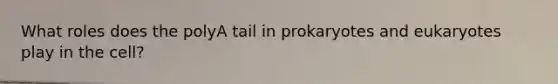 What roles does the polyA tail in prokaryotes and eukaryotes play in the cell?