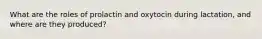 What are the roles of prolactin and oxytocin during lactation, and where are they produced?
