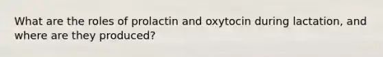 What are the roles of prolactin and oxytocin during lactation, and where are they produced?