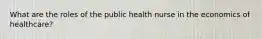 What are the roles of the public health nurse in the economics of healthcare?