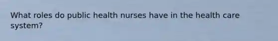 What roles do public health nurses have in the health care system?