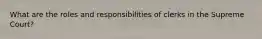 What are the roles and responsibilities of clerks in the Supreme Court?