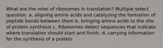 What are the roles of ribosomes in translation? Multiple select question. a. aligning <a href='https://www.questionai.com/knowledge/k9gb720LCl-amino-acids' class='anchor-knowledge'>amino acids</a> and catalyzing the formation of peptide bonds between them b. bringing amino acids to the site of protein synthesis c. Ribosomes detect sequences that indicate where translation should start and finish. d. carrying information for the synthesis of a protein