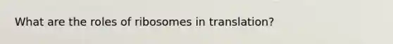 What are the roles of ribosomes in translation?