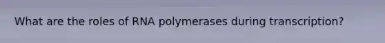 What are the roles of RNA polymerases during transcription?