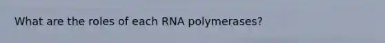 What are the roles of each RNA polymerases?