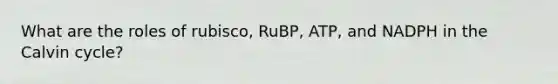 What are the roles of rubisco, RuBP, ATP, and NADPH in the Calvin cycle?