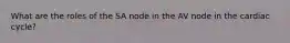 What are the roles of the SA node in the AV node in the cardiac cycle?