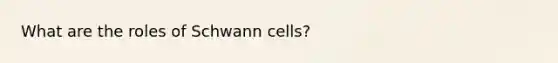 What are the roles of Schwann cells?