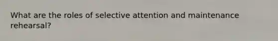 What are the roles of selective attention and maintenance rehearsal?