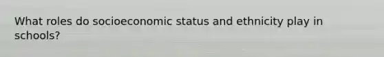 What roles do socioeconomic status and ethnicity play in schools?