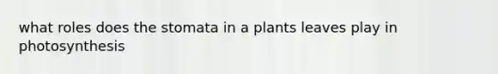 what roles does the stomata in a plants leaves play in photosynthesis