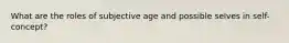 What are the roles of subjective age and possible selves in self-concept?