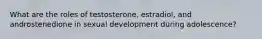 What are the roles of testosterone, estradiol, and androstenedione in sexual development during adolescence?