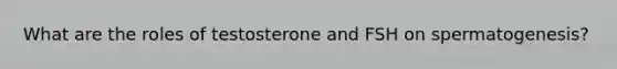 What are the roles of testosterone and FSH on spermatogenesis?