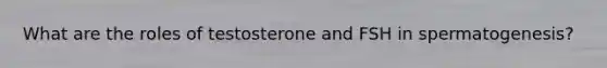 What are the roles of testosterone and FSH in spermatogenesis?