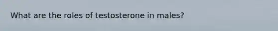 What are the roles of testosterone in males?