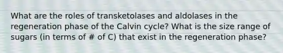 What are the roles of transketolases and aldolases in the regeneration phase of the Calvin cycle? What is the size range of sugars (in terms of # of C) that exist in the regeneration phase?