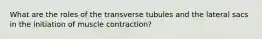 What are the roles of the transverse tubules and the lateral sacs in the initiation of muscle contraction?