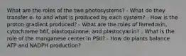 What are the roles of the two photosystems? - What do they transfer e- to and what is produced by each system? - How is the proton gradient produced? - What are the roles of ferredoxin, cytochrome b6f, plastoquinone, and plastocyanin? - What is the role of the manganese center in PSII? - How do plants balance ATP and NADPH production?