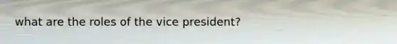 what are the roles of the vice president?