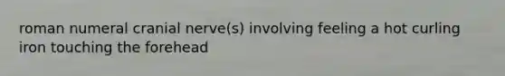 roman numeral cranial nerve(s) involving feeling a hot curling iron touching the forehead