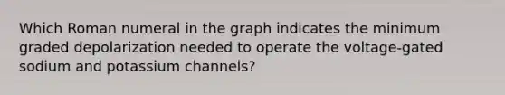Which Roman numeral in the graph indicates the minimum graded depolarization needed to operate the voltage-gated sodium and potassium channels?