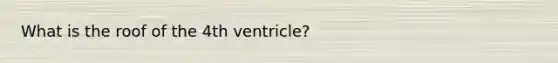 What is the roof of the 4th ventricle?