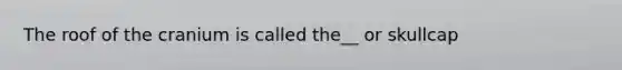 The roof of the cranium is called the__ or skullcap