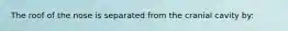 The roof of the nose is separated from the cranial cavity by: