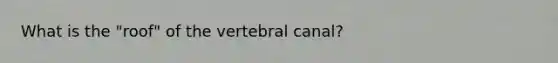 What is the "roof" of the vertebral canal?