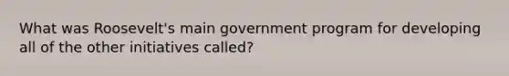 What was Roosevelt's main government program for developing all of the other initiatives called?