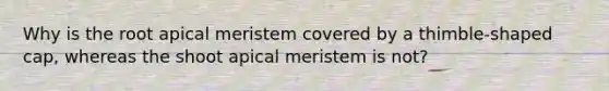 Why is the root apical meristem covered by a thimble-shaped cap, whereas the shoot apical meristem is not?