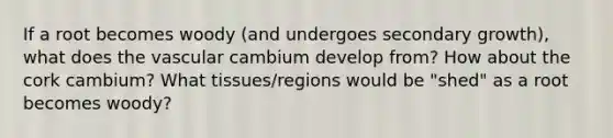 If a root becomes woody (and undergoes secondary growth), what does the vascular cambium develop from? How about the cork cambium? What tissues/regions would be "shed" as a root becomes woody?