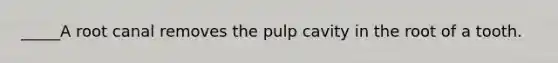 _____A root canal removes the pulp cavity in the root of a tooth.