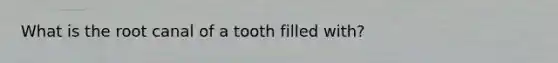 What is the root canal of a tooth filled with?