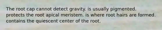 The root cap cannot detect gravity. is usually pigmented. protects the root apical meristem. is where root hairs are formed. contains the quiescent center of the root.