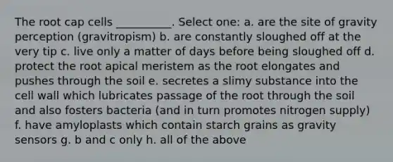 The root cap cells __________. Select one: a. are the site of gravity perception (gravitropism) b. are constantly sloughed off at the very tip c. live only a matter of days before being sloughed off d. protect the root apical meristem as the root elongates and pushes through the soil e. secretes a slimy substance into the cell wall which lubricates passage of the root through the soil and also fosters bacteria (and in turn promotes nitrogen supply) f. have amyloplasts which contain starch grains as gravity sensors g. b and c only h. all of the above