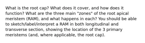 What is the root cap? What does it cover, and how does it function? What are the three main "zones" of the root apical meristem (RAM), and what happens in each? You should be able to sketch/label/interpret a RAM in both longitudinal and transverse section, showing the location of the 3 primary meristems (and, where applicable, the root cap).