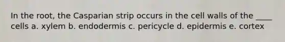 In the root, the Casparian strip occurs in the cell walls of the ____ cells a. xylem b. endodermis c. pericycle d. epidermis e. cortex