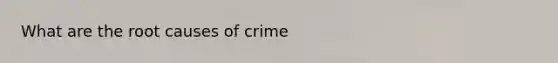 What are the root causes of crime